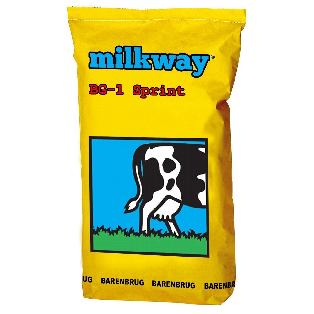 Trawa do Użytkowania na Gruntach Ornych Barenbrug BG-1 Milkway Sprint 15kg