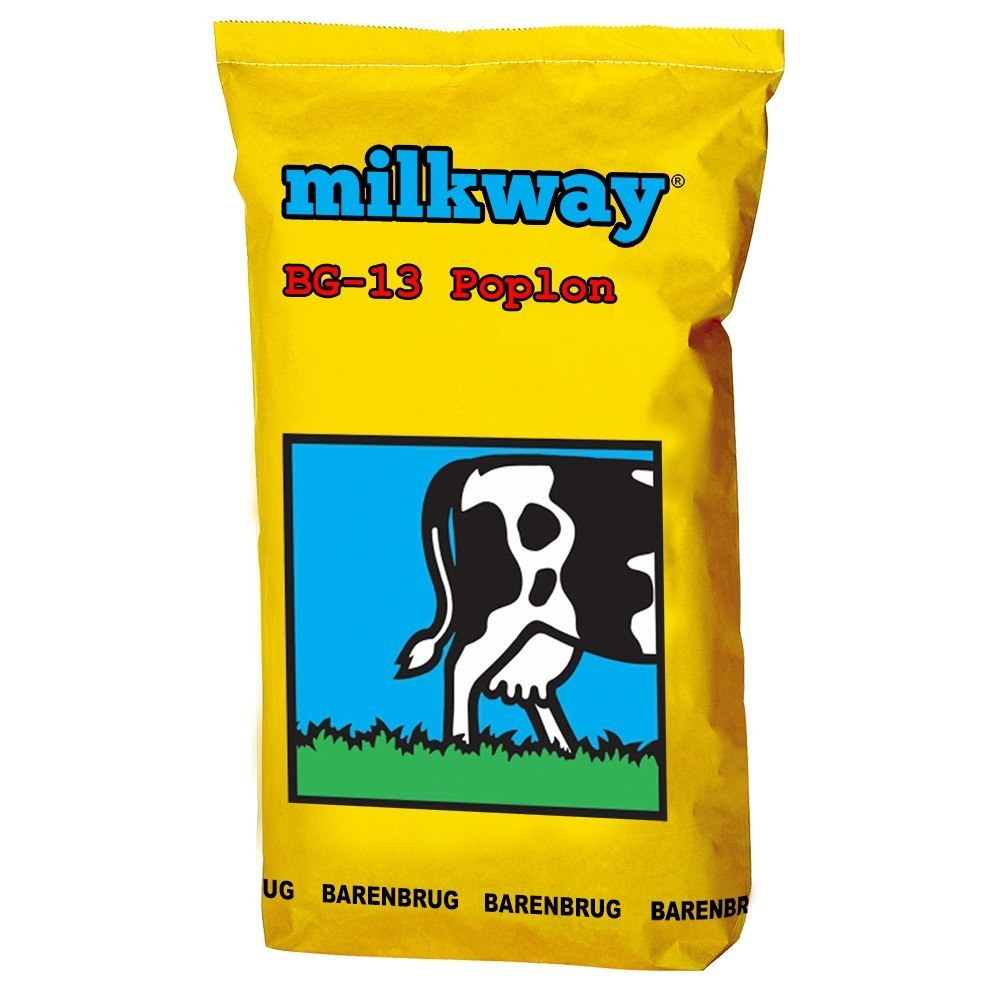 Trawa Poplonowa Barenbrug BG-13 Milkway Poplon 15kg Trawa Poplonowa Barenbrug BG-13 Milkway Poplon 15kg