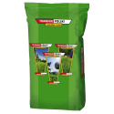 Trawa Dywanowa REPREZENTACYJNA Trawnik Polski Gazon 15kg