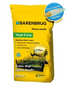 Trawa Barenbrug Na Suszę Resilient Blue Tough & easy - Ekstremalne Warunki 15kg