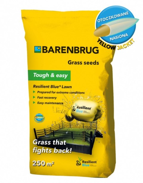 Trawa Barenbrug Na Suszę Resilient Blue Tough & easy - Ekstremalne Warunki 15kg Trawa Barenbrug Na Suszę Resilient Blue Tough & easy - Ekstremalne Warunki 15kg