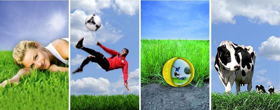 baner_barenbrug(1)