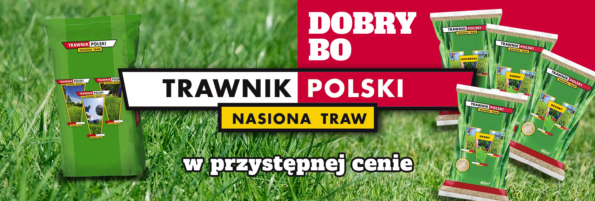 Trawnik Polski